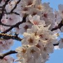 세븐일레븐 인계복개천점 이미지