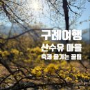 구례의길(남도이순신길) | [2026 구례 산수유축제] 실시간 개화 상황 &amp; 주차 꿀팁, 당일치기 동선·기념품까지 총정리