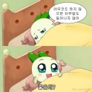 연주다움