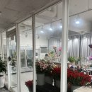 호텔레스테이시흥점 | 시흥 꽃집 | 꽃블리 시흥정왕점 꽃바구니 가성비 최고!