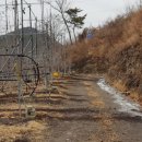청송꿀사과 오두메농장