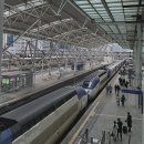 (주)윈플러스마트 남부민락점 | 한 때 피워낸 꿈처럼