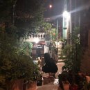 굿바이펫 이미지