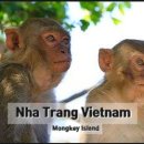 바다와 하루 이미지