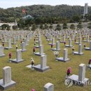 이수은 행정사사무소 이미지