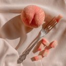 더바름필라테스 네이버블로그