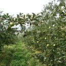 야지농장 이미지