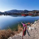 만정1호 이미지