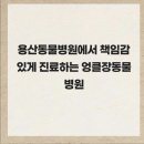 엉클장동물병원 이미지