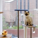 오뗄뒤샤 이미지