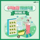 주황농장 이미지