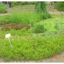 가죽공예(자격증) 이미지