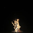 무릉도원면-15 이미지