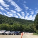 초아목장 이미지