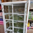 멍멍이랑 호호아줌마 이미지