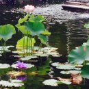 테라스파크 콘서트 이미지