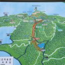 기찬 숲탐방 | 전남 장성 축령산 편백숲 후기 🌲 | 코레일 여행 가는 달 QR 인증 장소