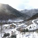 산림힐링재단 이미지
