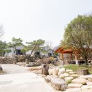 충남 금산 프라이빗 독채펜션 찾는다면? 조용히 쉬기 좋았던 니모네작은집 후기