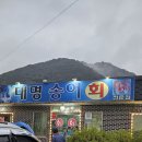 대명송어 이미지