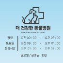 더 건강한 동물병원 | [당진 동물병원 추천] 중성화부터 건강검진까지 한 번에! 🏥 위생 끝판왕 '더 건강한 동물병원' (주차...