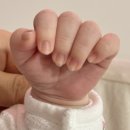 (주)모빌리스크 | 신생아여드름, 지루성두피염, 무스텔라샴푸, 타이니모빌, 50일사진, 에르고아기띠, 생애초기 건강관리...