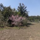 서홍동-11 이미지