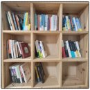 RR-309[세자로]-상-6 | [공지] 대온실 수리 보고서 - 김금희 / 창비