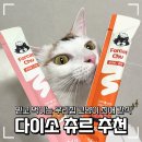 펠리스 | [고양이 정보] 닥터펠리스 츄르 내돈내산 후기 코숏 고양이 간식 추천 다이소 고양이 간식 추천