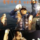 통영세린호 5월22일 철수 인공어초 대물왕볼락들 대박 사건.. 이미지