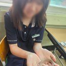 물금동아중학교 네이버블로그