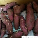 원빈농장 이미지