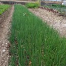 장정만농장 이미지