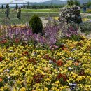 한강시민공원 이미지