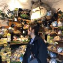 간빠이선술집 | 후쿠오카🇯🇵🍢