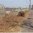 신도시북로 이미지