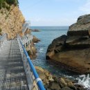 솔숲펜션 이미지