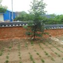 행복나무민박 이미지