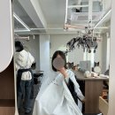 헤어1004미용실 | 선릉미용실 추천, 프롬어스헤어선릉역점 연윤디자이너 단발 테슬컷