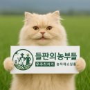 휴바스코리아 이미지