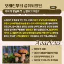 전이전