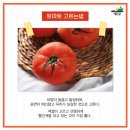 레드토마토 이미지