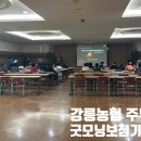 강릉주부센타 네이버블로그