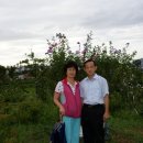 해제동초등학교 이미지