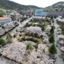 건화물산