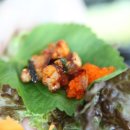 시골낙지 이미지