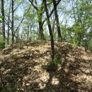 소수초등학교 이미지