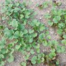 이소농장 이미지