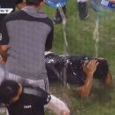 생수통봐ㅠㅋㅋㅋㅋㅋㅋㅋ 이미지