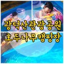광덕산관광농원 호두나무캠핑장